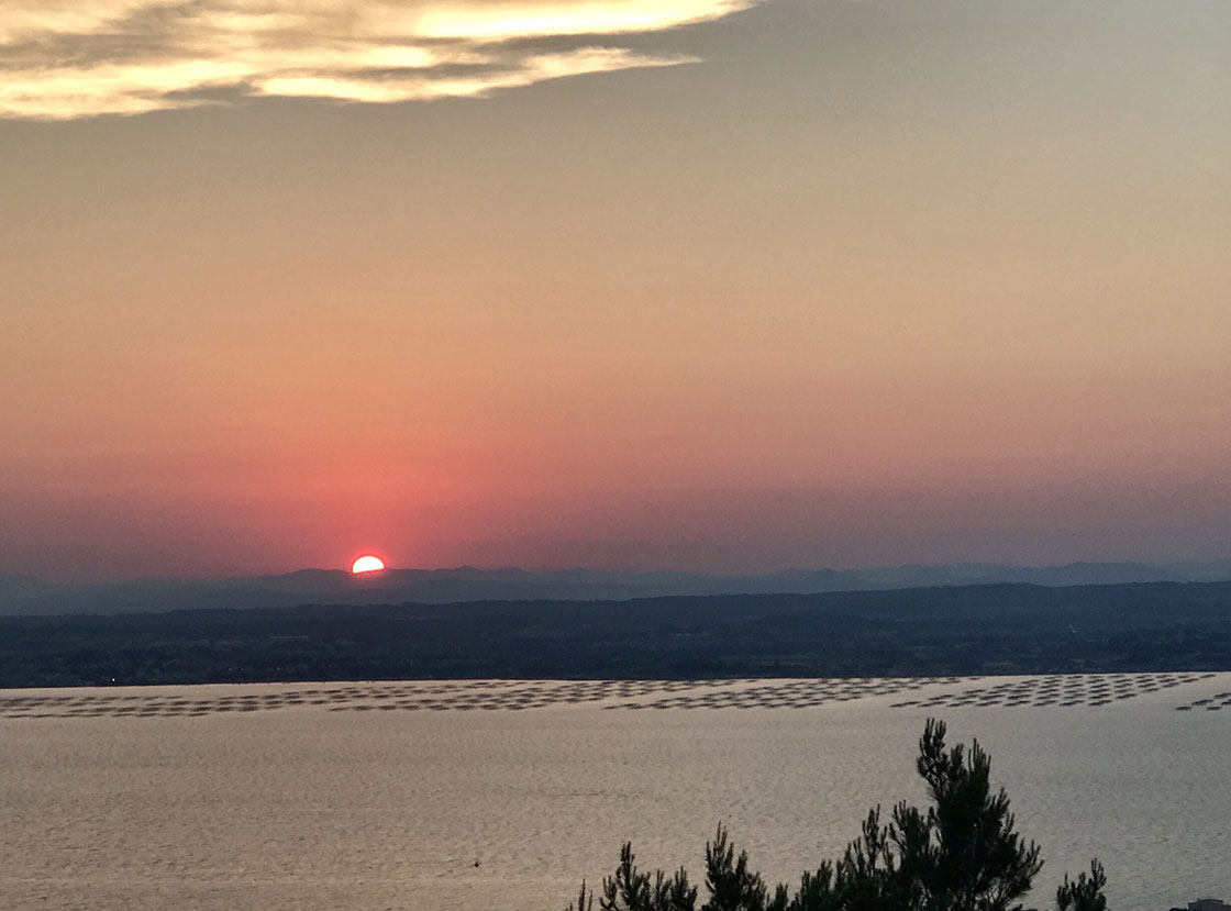 Coucher de soleil sur le bassin de Thau et ses mas conchylicoles