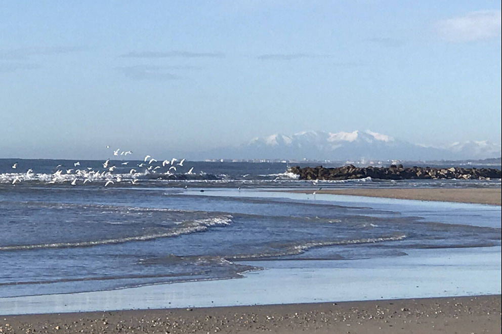 Vue sur le Canigou depuis la plage